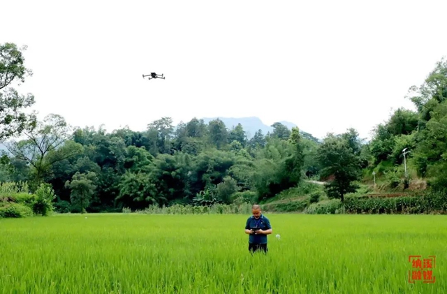 纳溪:地上巡、天上看 田长“慧眼”守良田(图3) 田3.jpg