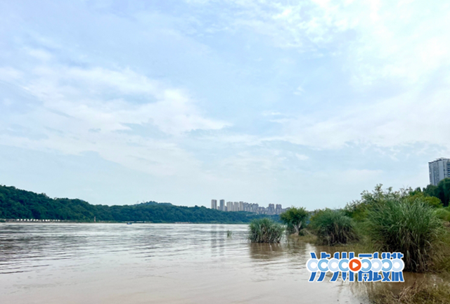 到20日水位将累计上涨超3米丨泸州市防汛救援办最新提醒→(图1) 水1.png