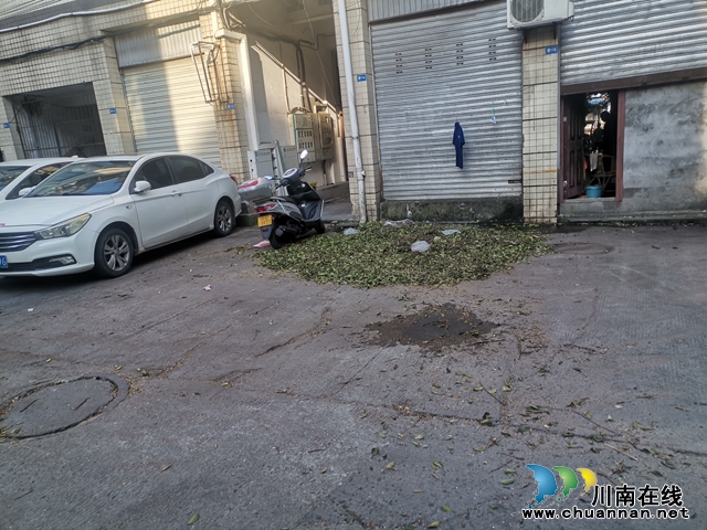 小市街道回龙湾“民心工程”:多方协同伐树木,聚力攻坚保安全(图1) 微信图片_20240723100150.jpg