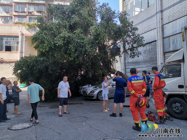 小市街道回龙湾“民心工程”:多方协同伐树木,聚力攻坚保安全(图2) 微信图片_20240723111015.jpg