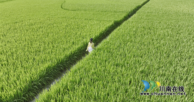 古蔺县大村镇第二届“村游节”7月26日盛大开幕(图9) 7.png