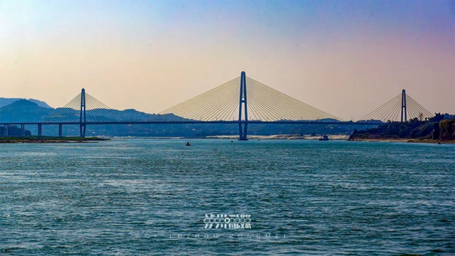 桥见泸州(图12) 微信图片_20240725102117.jpg