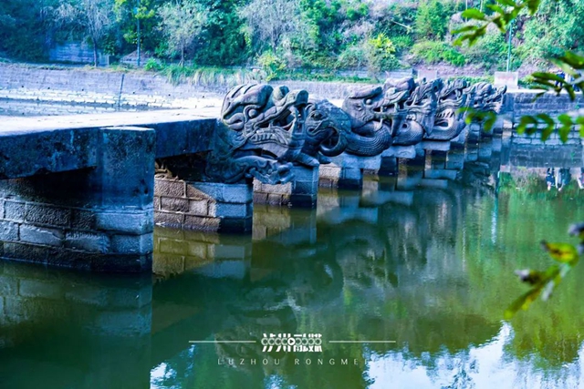 桥见泸州(图15) 微信图片_20240725102129.jpg