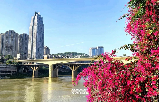 桥见泸州(图23) 微信图片_20240725102207.jpg