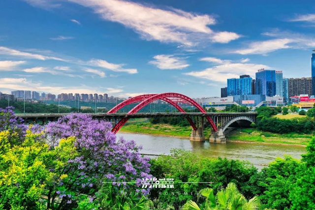 桥见泸州(图25) 微信图片_20240725102217.jpg