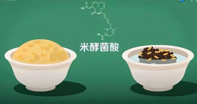 【食安科普】夏日炎炎，警惕湿米粉、木耳中的米酵菌酸毒素中毒