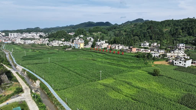 古蔺：“酒事快”有多快， 全省率先“六证齐发”