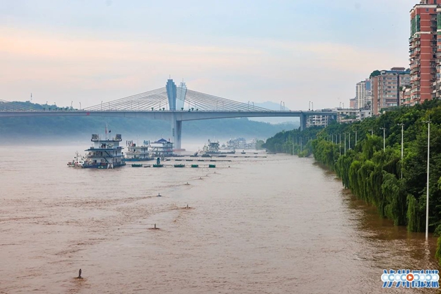 不要围观!长江洪峰过境泸州,城区沿江低洼地带将有淹没风险(图3) 3.jpg