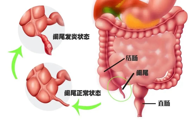 微信图片_20240726093933.jpg