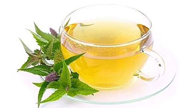 【扩散】西南医科大学附属中医医院10款解暑饮品配方公开(图5) 5.jpg