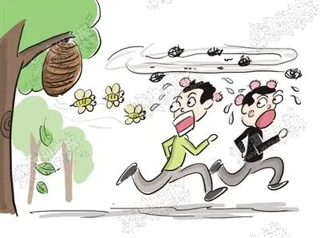 微信图片_20240729090041.png
