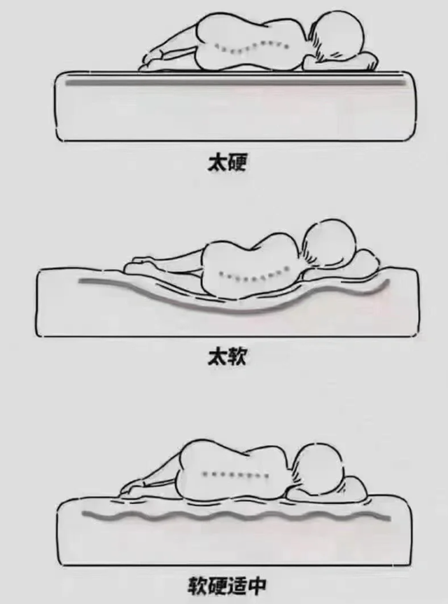 微信图片_20240730085932.png