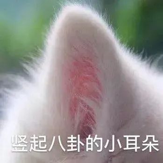 微信图片_20240802091349.jpg