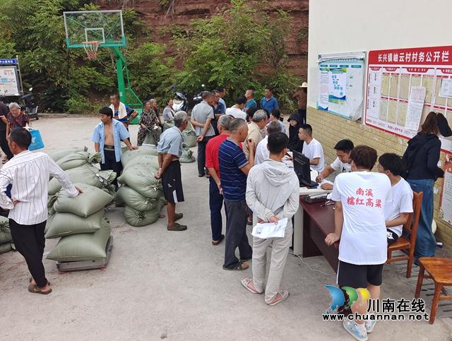 宜宾南溪区长兴镇:红粮收购一条龙,农户获利笑颜开(图1) ae42e3dc04ecadfd2bbaa159d8b3bff2.jpg