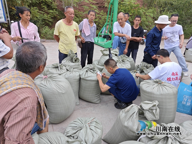 宜宾南溪区长兴镇:红粮收购一条龙,农户获利笑颜开(图2) 5c89178de7c896c3020c02f516d26e05.jpg
