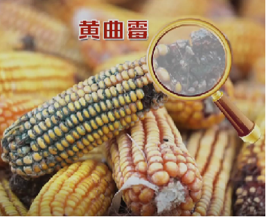 【技术】“介入+靶免”强强联合,为肝癌患者带来新“生机”!(图4) 肝4.png