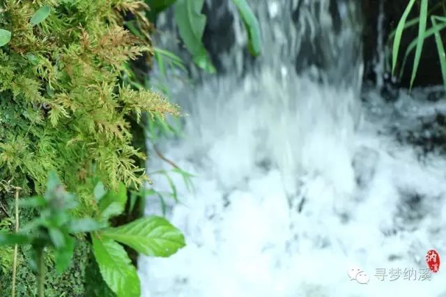 暑假探索秘境,泸州这里有一处隐藏在山里的绝美瀑布……(图4) 4.jpg