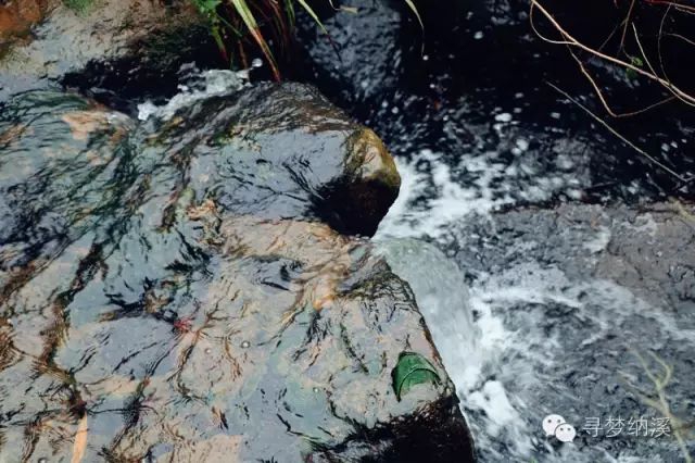 暑假探索秘境,泸州这里有一处隐藏在山里的绝美瀑布……(图8) 8.jpg