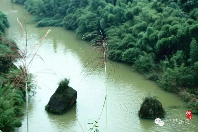 暑假探索秘境,泸州这里有一处隐藏在山里的绝美瀑布……(图14) 14.jpg