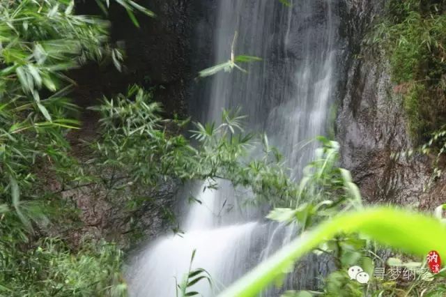 暑假探索秘境,泸州这里有一处隐藏在山里的绝美瀑布……(图11) 11.jpg