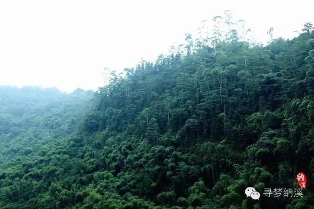 暑假探索秘境,泸州这里有一处隐藏在山里的绝美瀑布……(图15) 15.jpg