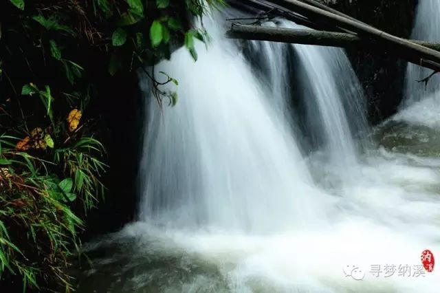 暑假探索秘境,泸州这里有一处隐藏在山里的绝美瀑布……(图16) 16.jpg