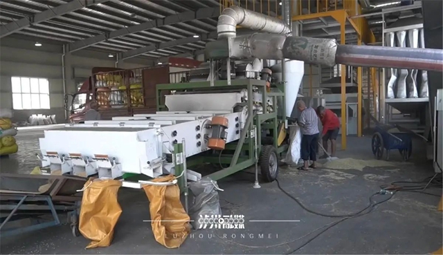 泸州：水稻制种颗粒归仓 良种助力粮食安全