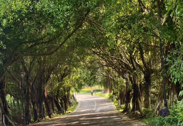 开学季丨明星同款旅行路线,三分钟带你get(图4) 微信图片_20240829111621.jpg