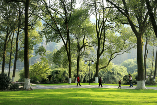 开学季丨明星同款旅行路线,三分钟带你get(图17) 微信图片_20240829111809.png