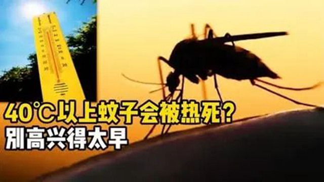 【警惕】你有多久没被蚊子咬了？蚊子都热死了吗？