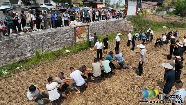 古蔺德耀:喜看鱼稻千重浪,金秋共庆丰收年(图11) 11.jpg