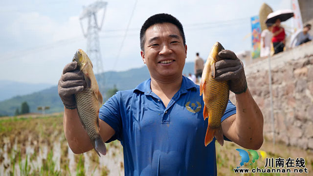 古蔺德耀:喜看鱼稻千重浪,金秋共庆丰收年(图14) 14.jpg