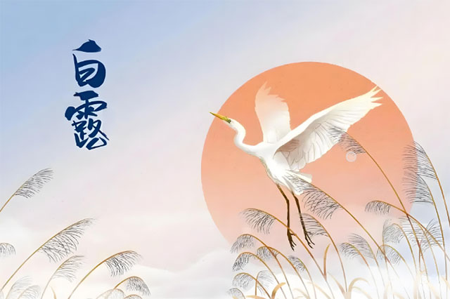 【杏林学堂】白露时节，养生要“三忌、三宜”