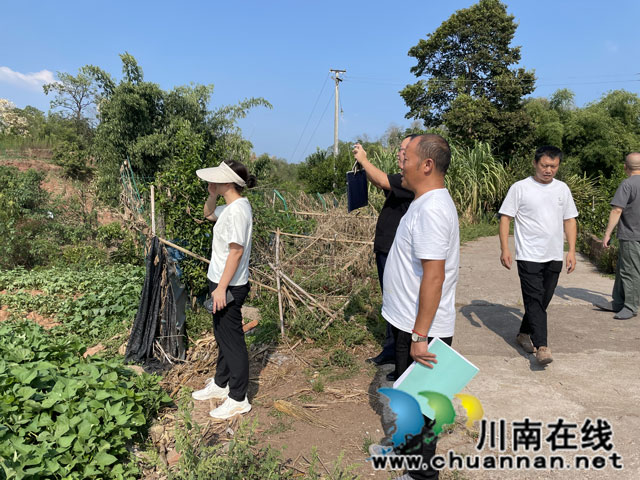 节前敲警钟 安全不放松┃江阳区自然资源和规划分局开展节前储备土地安全督查工作(图1) 图片1.jpg