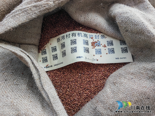 泸县海潮镇有机红高粱映红致富路(图4) 有机高粱封条(曾佐然摄).jpg