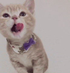 @所有人:西南医大中医院IP形象设计大赛,万元奖金来了!(图4) 4.gif