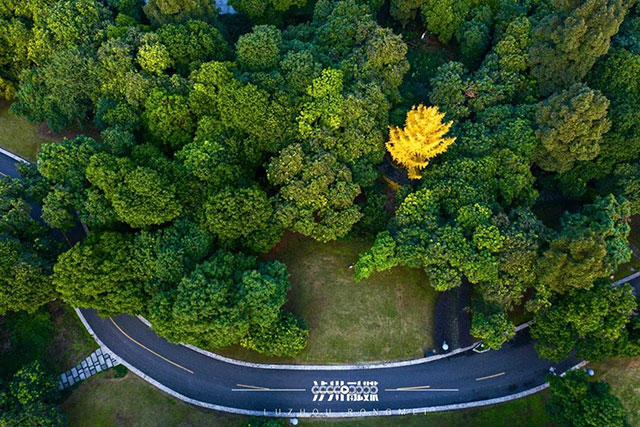 邀你国庆游泸州,“酒城九惠”等你来!(图14) 14.jpg