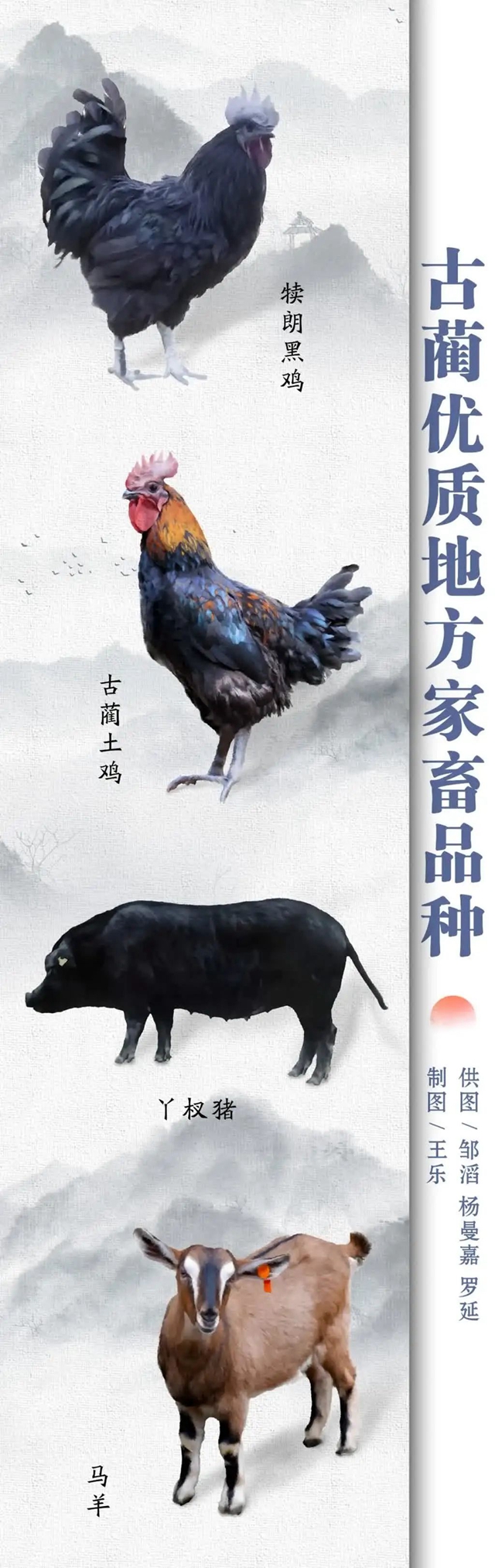 微信图片_20241008104220.jpg