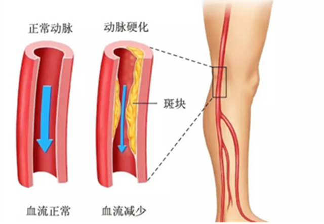 微信图片_20241010085415.png