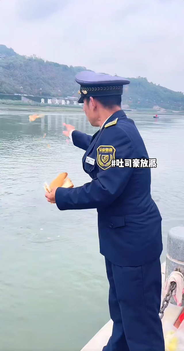 长江鱼群再现宜宾三江口(图5) 微信图片_20241010103457.png