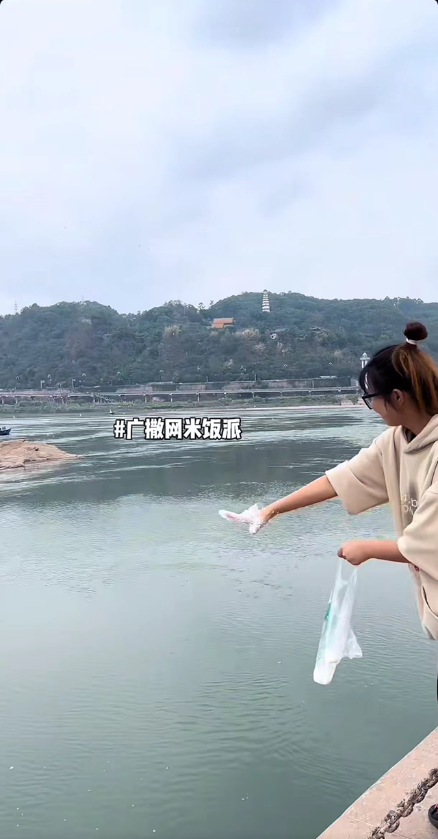 长江鱼群再现宜宾三江口(图8) 微信图片_20241010103508.png