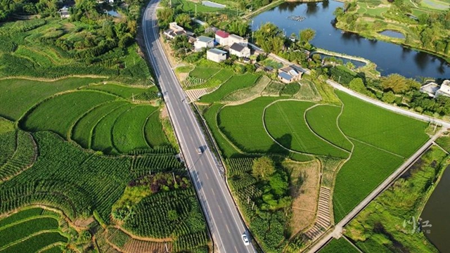 全国再生稻生产现场推进会在泸州召开(图1) 微信图片_20241011084517.jpg