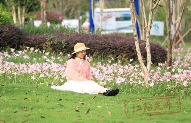 开了!“小黄”和“小粉”都开了!请收下这姗姗来迟的江阳浪漫(图9) 微信图片_20241011094502.jpg