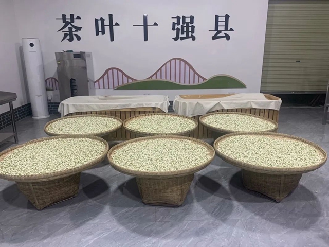 微信图片_20241011105344.jpg