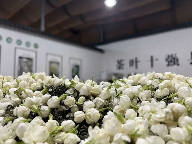 微信图片_20241011105353.jpg