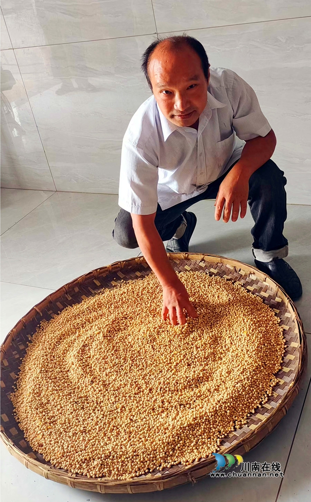 图1：蒋志芳介绍选用的黄豆粒粒饱满.jpg