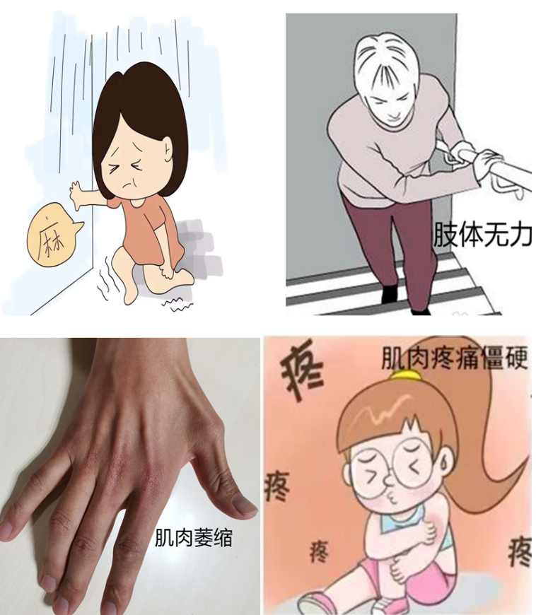 【技术】肌电图检查——让您的神经、肌肉会“说话”！