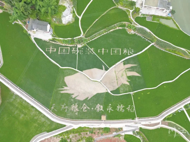 泸州1.jpg