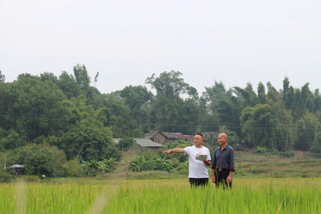 龙马潭区:“走丢”的耕地“焕”新生 乡村振兴走出“新路子”(图3) 地3.jpg