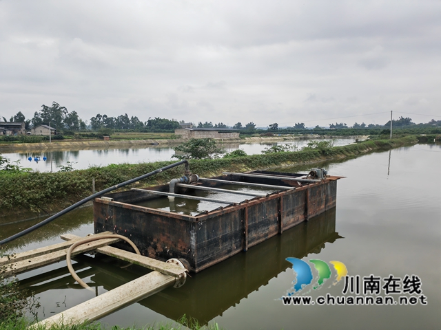 养鱼的排污设施（曾佐然摄）.jpg